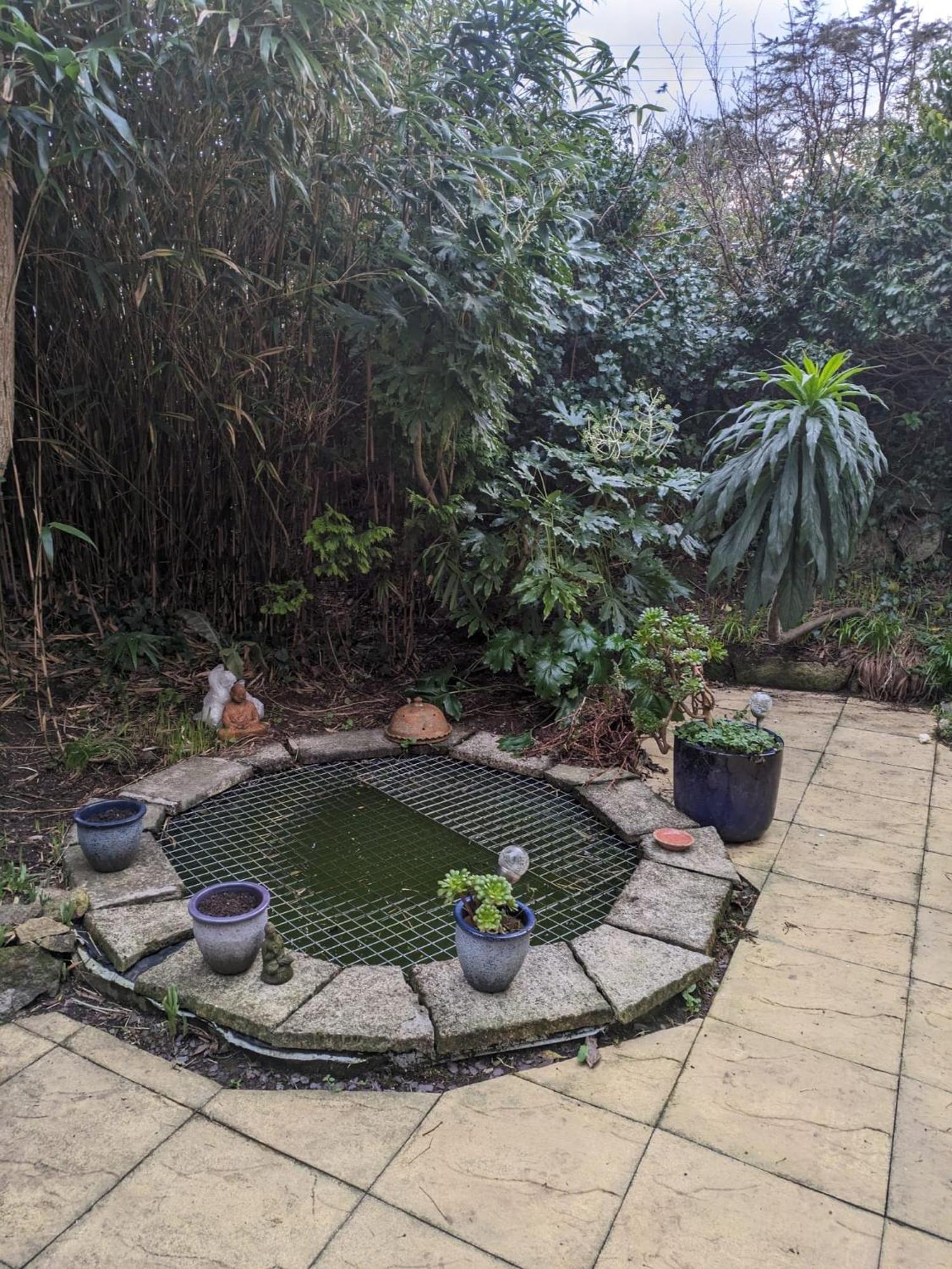 The Garden Apartment St Ives  Ngoại thất bức ảnh